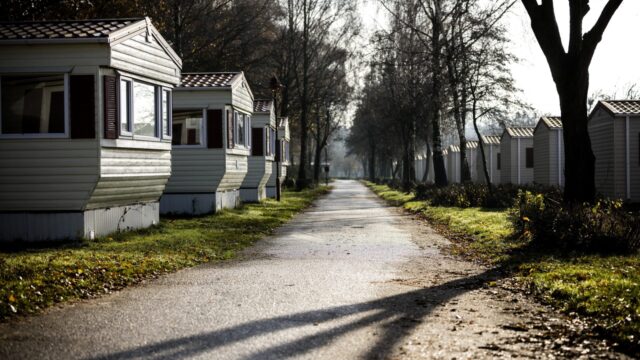 Undercover bij Peter Gillis: 'Ik sliep naast een schimmelvlek'