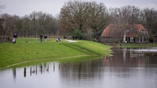 Waterschappen extra alert op bevers bij hoogwater: 'Als hij maar bij de dijken wegblijft'