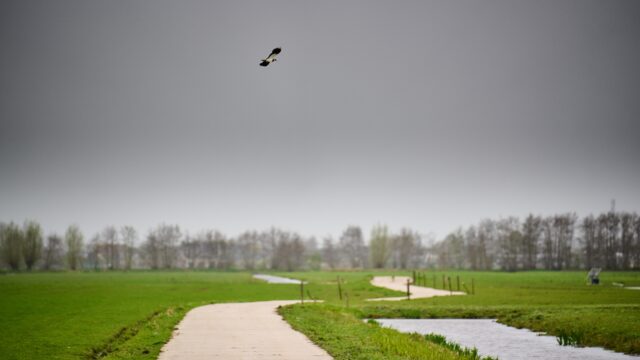 De afgelopen jaren zijn tienduizenden sloten gedempt