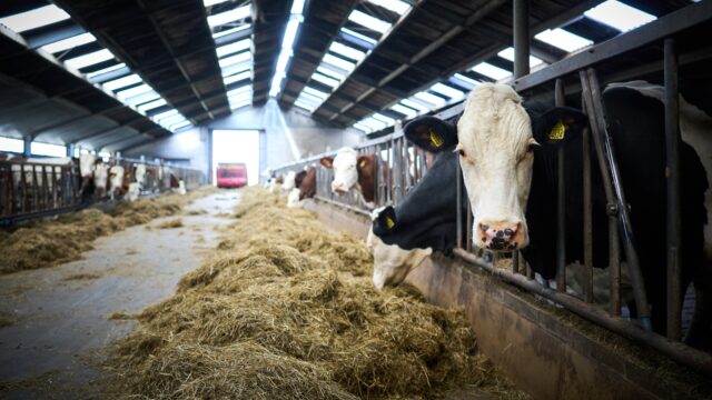 Uitstel van stikstofdoelen stuit op brede kritiek: 'Den Haag maakt er een zooitje van'