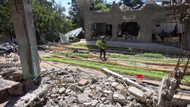 Studenten in Gaza planten groente om de honger een beetje te stillen