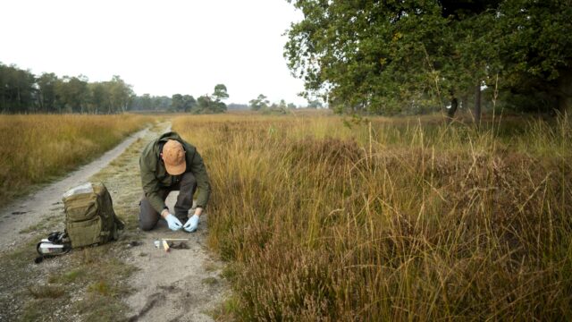 Archeologisch onderzoek op de Veluwe: meer dan duizend grafheuvels in kaart gebracht