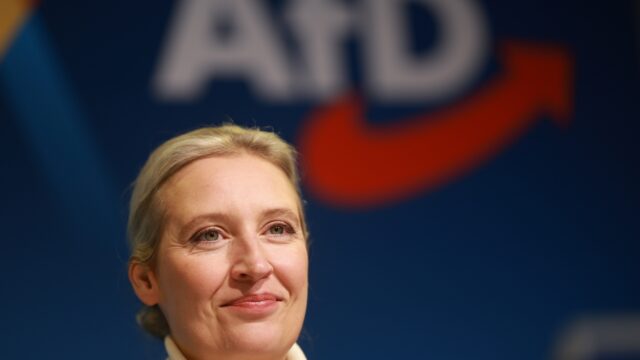 AfD krijgt steun van Elon Musk in Duitse krant