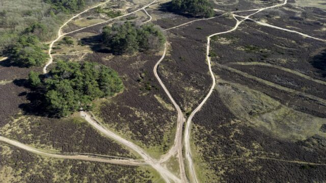 Stikstofdepositie in kustgebieden fors overschat: 'Ik had in feite hartstikke gelijk'