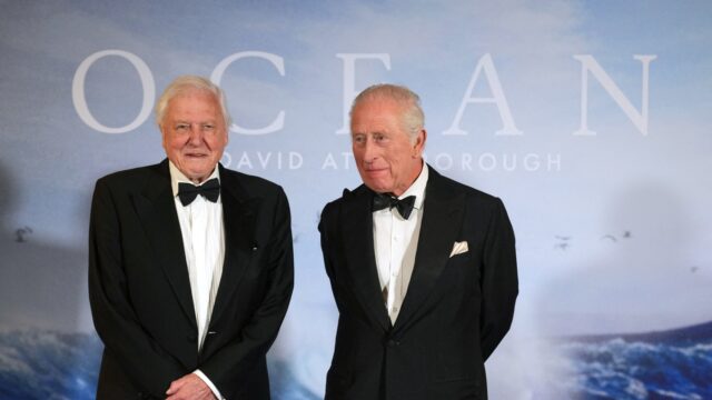 Podcast De Dag: de stem van de natuur is jarig: David Attenborough