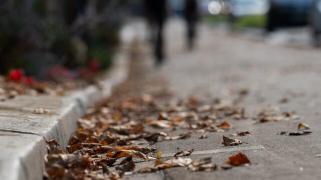Vroege herfst door droogte: 'De natuur gaat knock-out'