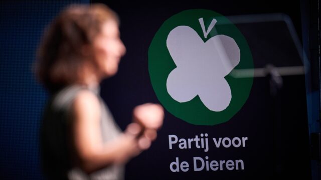 Econoom zeer kritisch op programma Partij voor de Dieren: 'Totaal geen financiële onderbouwing'