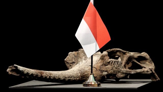 Moeten we af van de term 'roofkunst'? 'Pas na de roof kreeg het een commerciële waarde'