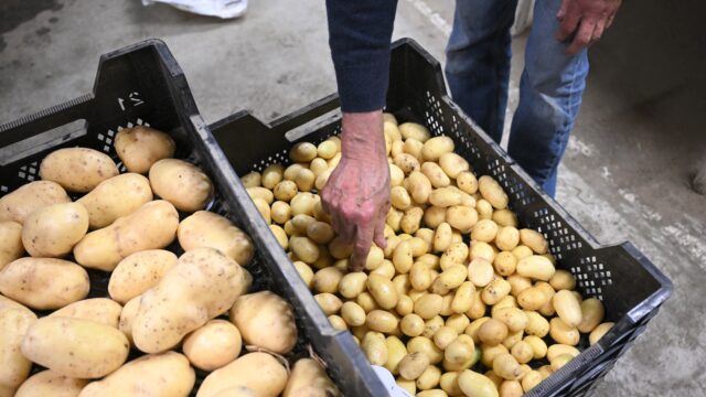 Hoe lossen we 'het domste probleem' van deze tijd op?