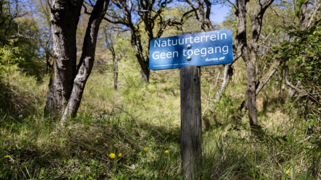 Peperduur natuurherstel: mogen we straks nog wel de Nederlandse natuur in?