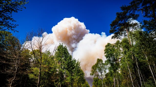 Hoeveel natuur is er verloren gegaan bij de brand op defensieterrein 't Harde?
