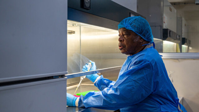 Behandeling tegen Ebola in de maak
