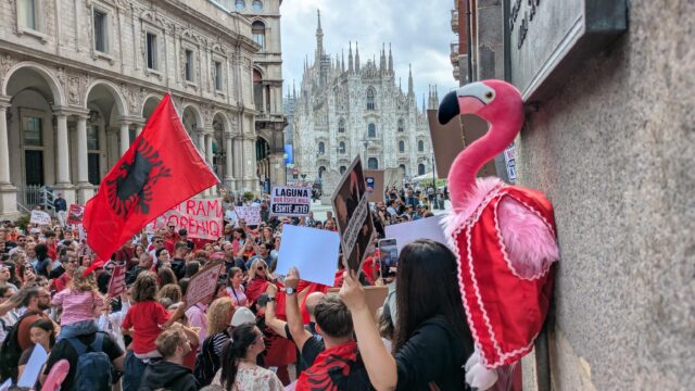 Het groeiende flamingoprotest in Albanië