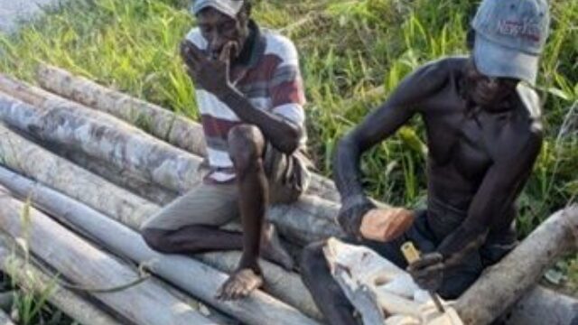 Langhuizen en fallus-beelden: een inkijkje in de West-Papoeaanse Asmat stam