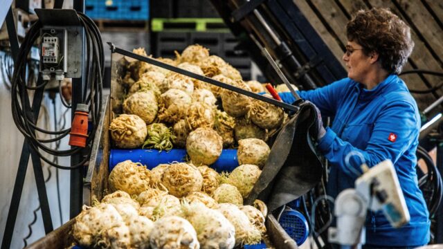 SER-advies voor blauwe en groene sector: 'We moeten naar technische innovatie toe'
