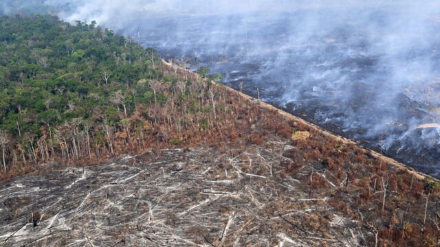 Brazilië schort sojamoratorium op: dreigt meer ontbossing in de Amazone?
