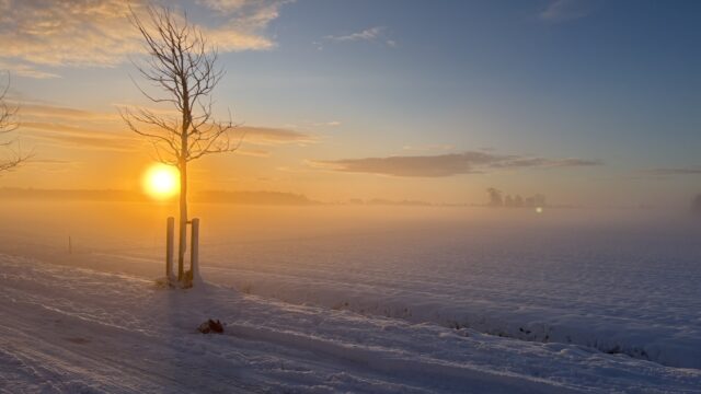 Waarom Nederland stilvalt als het sneeuwt