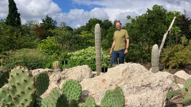 In de evolutietuin maak je een tijdreis door 900 miljoen jaar plantenevolutie