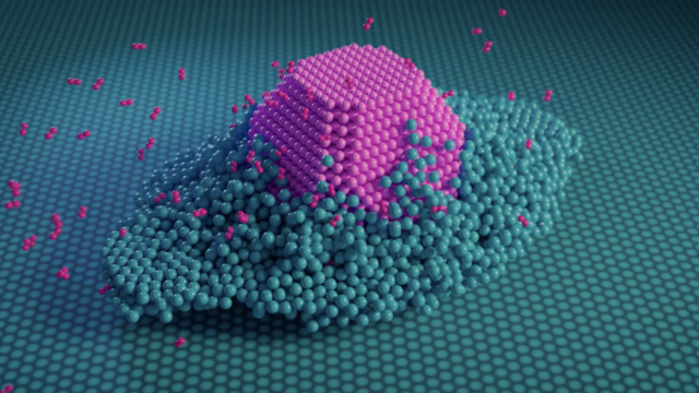 'Om de grootste problemen op te lossen, moet je het allerkleinste te begrijpen'