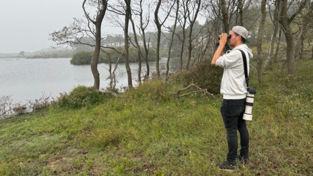 Vogeltrek is losgebarsten: 'Echt een hoogtepunt in het jaar voor mij'