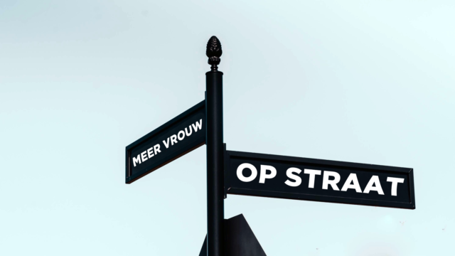 Meer Vrouw op Straat