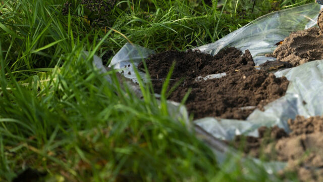 Waarom Utrechters gevraagd worden om hun onderbroek te begraven