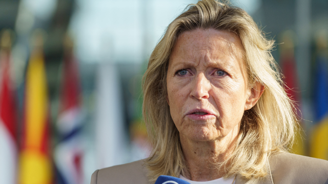 Ollongren (oud-defensieminister) benadrukt: 'Oekraïne mag rekenen op NAVO-lidmaatschap'