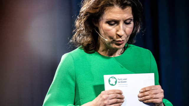 'PvdD was tot voor kort een heel goed alternatief voor GroenLinks-PvdA'