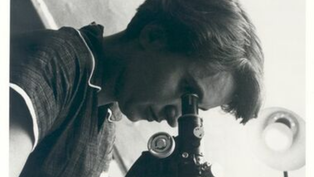 Hoe drie mannen er met de Nobelprijs van Rosalind Franklin vandoor gingen