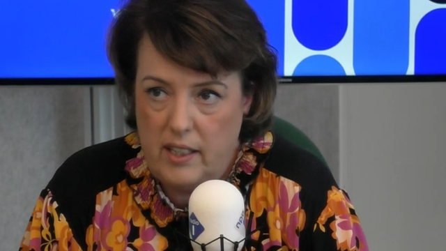 Uitbreiding Nederlands stroomnet kan veel sneller, zegt CEO TenneT: 'Komende 20 jaar koers houden'
