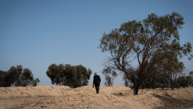 Het Beloofde Bos: bomen als wapen in de strijd om Gaza