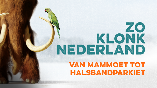 Hoe klonk Nederland in de laatste ijstijd? Dat hoor je in deze podcast!