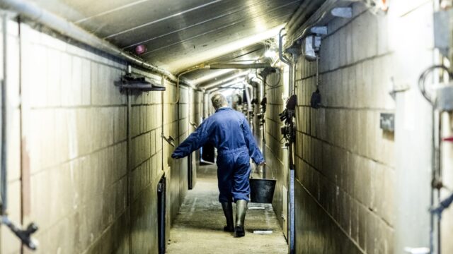 Meldpunt voor bedreigde boeren: tientallen klachten in één maand