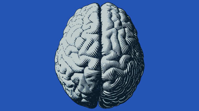 Wat gebeurt er in de hersenen als mensen bidden? 'Het is meer dan in jezelf praten'