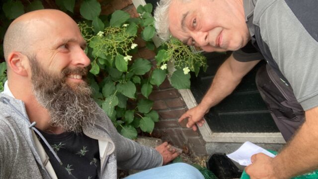 Met deze tips houd je je huis vrij van muizen