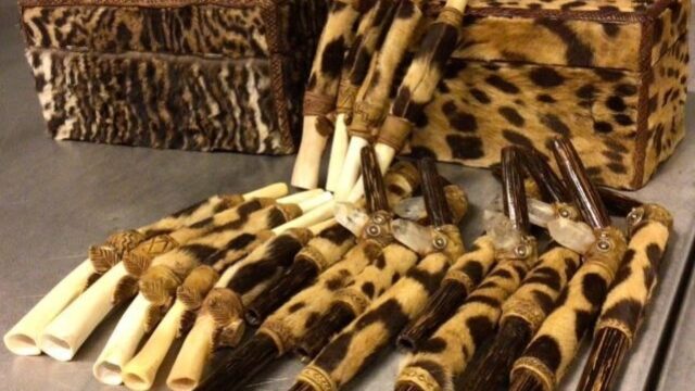 Douane onderschept tijgervel en jaguarhuid op Schiphol