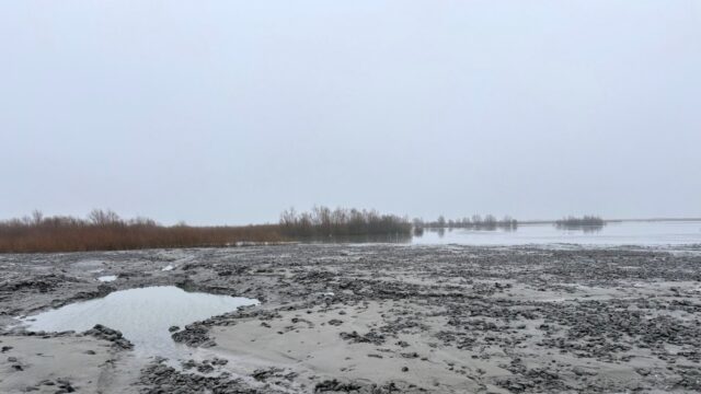 Tien jaar Marker Wadden