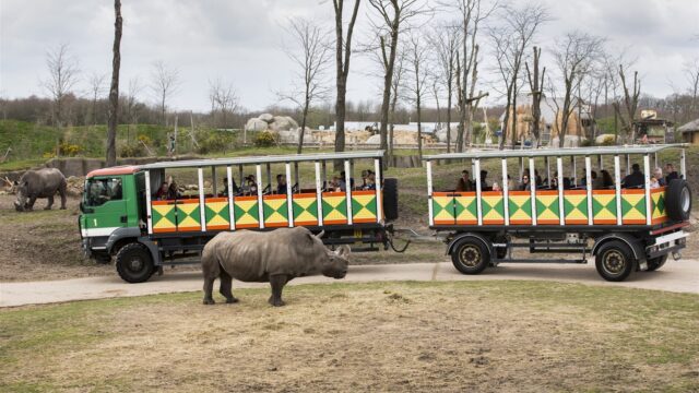 Zo stelde directeur Van Engelen orde op zaken bij Wildlands in Emmen
