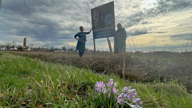 Zelfoogsttuin Wortels in Breda moet wijken