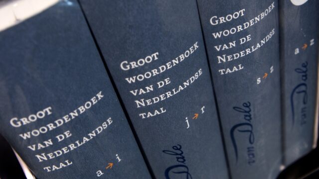 Geen Nederlands, geen bijstand: 'Gemeenten zouden taaleis strenger moeten handhaven'