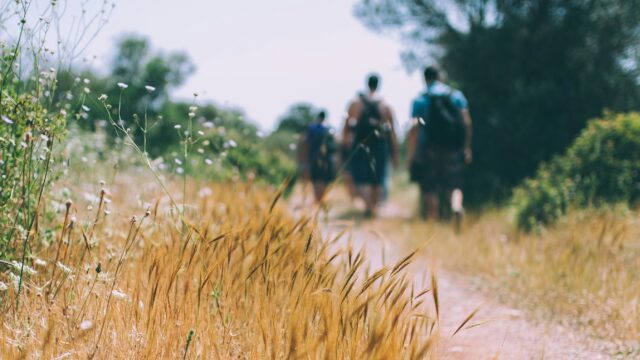 Mobiel in de kluis, wandelen in de natuur: Drenthe lanceert 'Buiten Bereik'-wandelroutes