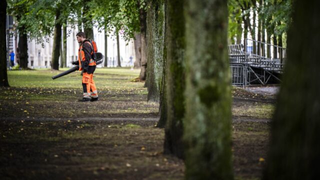 'Omarm de bladeren' als voeding voor de grond: 'Gemeentes, stop met bladblazen'