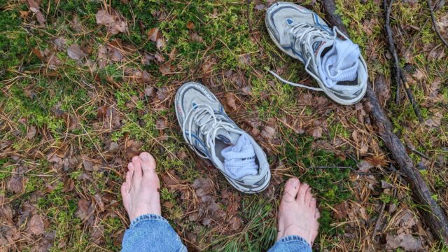 Earthfulness: zo kom je in verbinding met de natuur