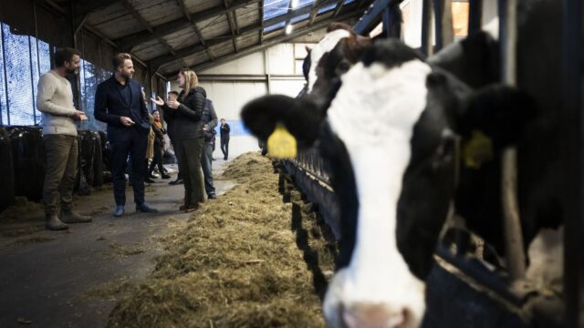 Meer biodiversiteit? 'Betaal boeren om dit te realiseren'