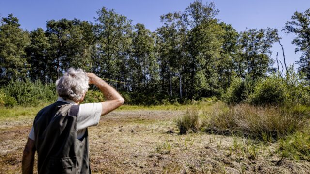 Boswachters zien grote problemen in Nederland: 'Natuur staat aan alle kanten onder druk'