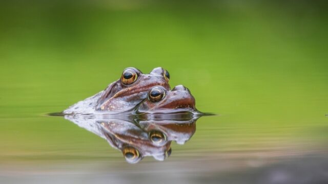 'Natuur, dat is iets waar je je pas om bekommert als al het andere is geregeld'