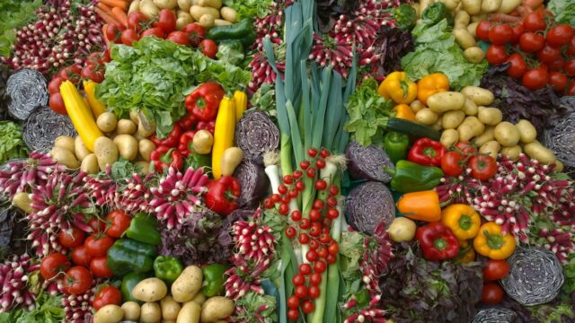 Europees Parlement stemt over gentechvoedsel: wat betekent dit voor ons eten?