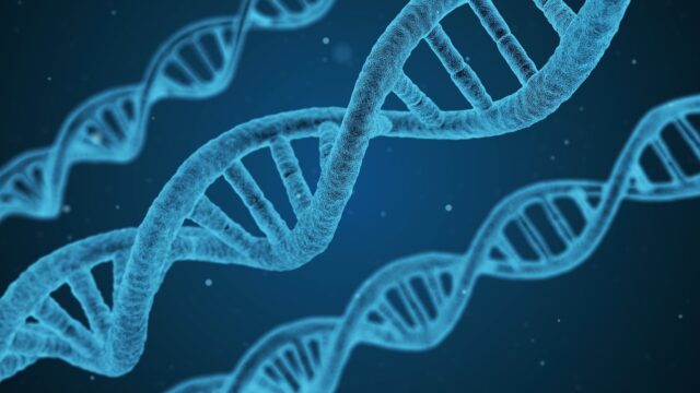 Zieke Erfenis: dna-test geeft uitsluitsel over erfelijke ziekte