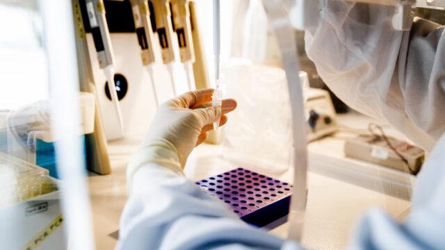 Wie is de echte dader? Hoe DNA-onderzoek uitsluitsel biedt tussen tweelingen in een verkrachtingszaak