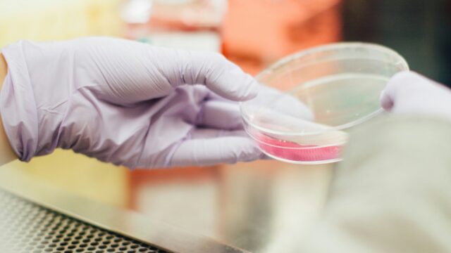 Wat doe je met overgebleven embryo's uit een IVF-traject?